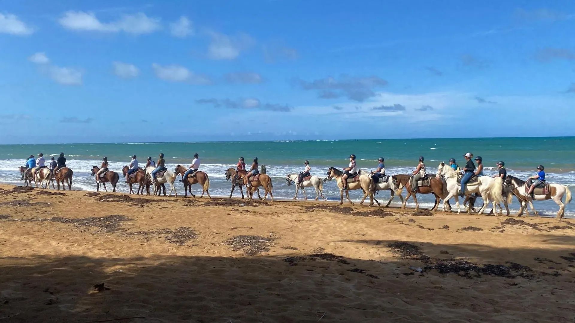 Lejlighed Oceanfront Condo In Luquillo